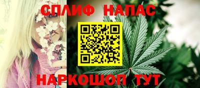 гидропоника Брянск